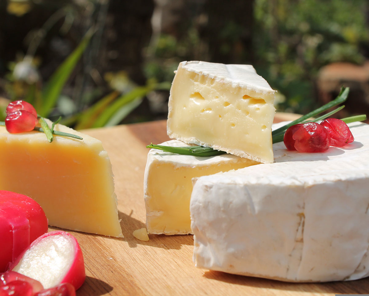 Cheese