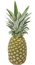 Pineapple - 1 lb