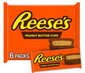 Reese's Peanut Butter Cups Snack Size 6 pack - 1.5 oz