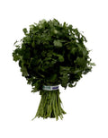Cilantro 8 oz