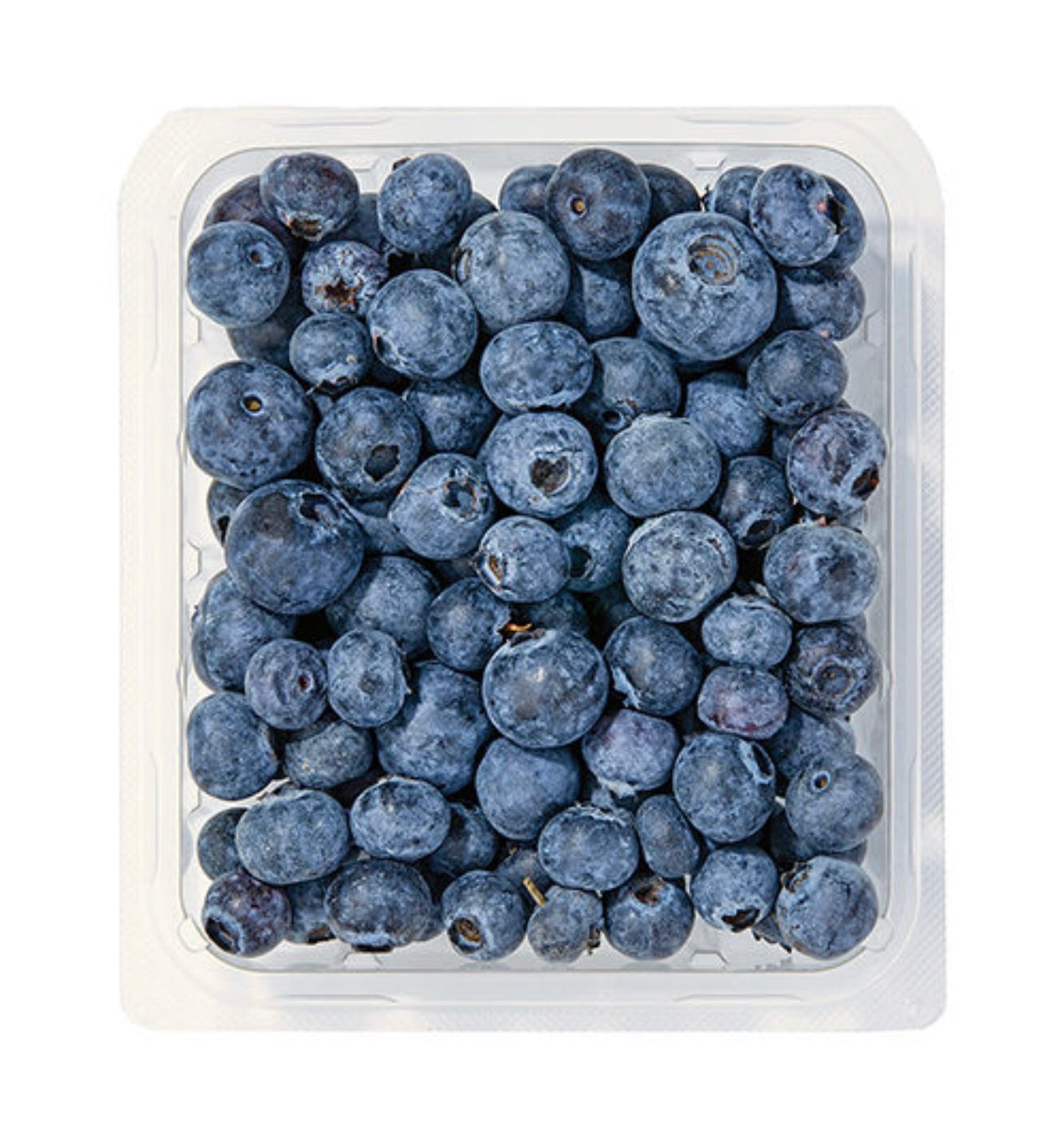 Blueberries 16 oz