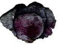 Red Cabbage 3LB