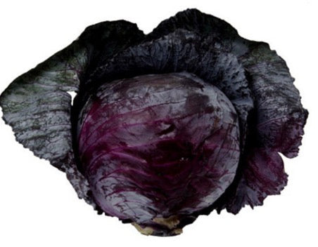 Red Cabbage 3LB